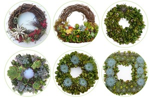 Urban FarmGirls Living Wreath
